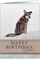Happy Birthday Boss, Dog in Snow card