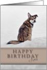 Happy Birthday Son, Dog in Snow card