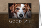 Good Bye, Dog with Brown Background card