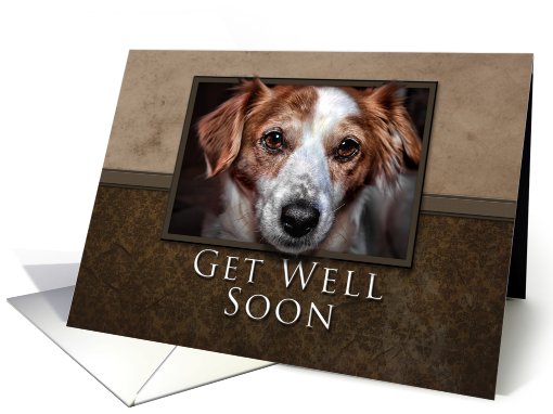 Get Well Soon, Dog with Brown Background card (626015)