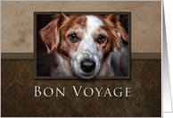 Bon Voyage, Dog with Brown Background card