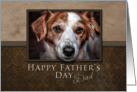 Happy Father’s Day Dad Dog with Brown Background card