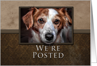 We’re Posted, Dog with Brown Background card