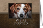 We’re Posted, Dog with Brown Background card