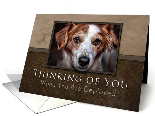 Thinking of You While You Are Deployed, Dog with Brown Background card