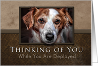 Thinking of You While You Are Deployed, Dog with Brown Background card