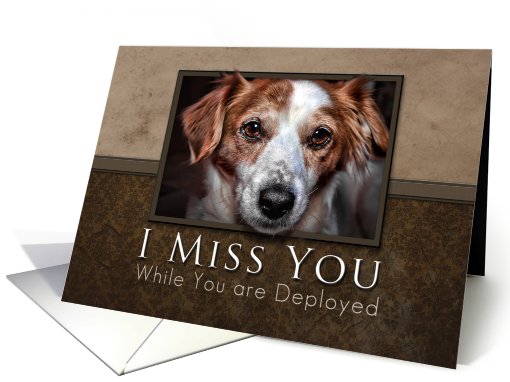 I Miss You While You Are Deployed, Dog with Brown Background card
