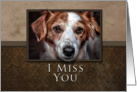 I Miss You, Dog with Brown Background card