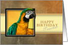 Happy Birthday Teacher, Parrot card