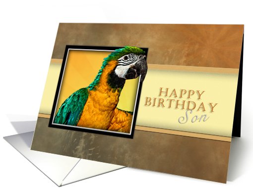 Happy Birthday Son, Parrot card (626615)