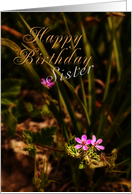Happy Birthday Sister, Small Pink Flowers card