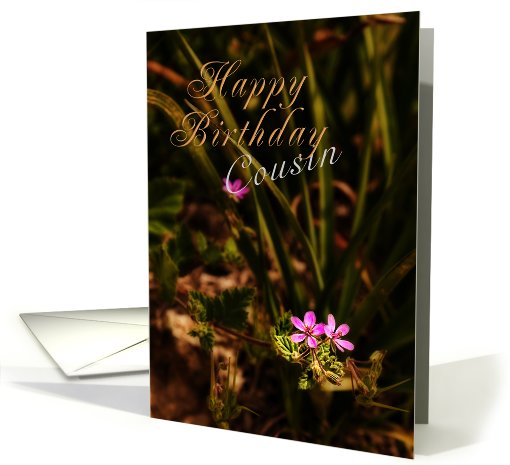 Happy Birthday Cousin, Small Pink Flowers card (626654)