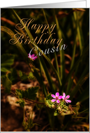 Happy Birthday Cousin, Small Pink Flowers card