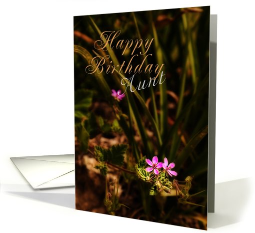 Happy Birthday Aunt, Small Pink Flowers card (626657)