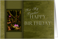 Happy Birthday Teacher, Small Pink Flowers with Green Background card