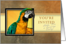 You’re Invited - Surprise Party, Parrot card