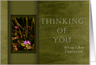 Thinking of You While I Am Deployed, Pink Flowers with Green Background card