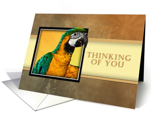 Thinking of You, Parrot card (626848)