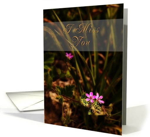 I Miss You, Pink Flowers card (626868)