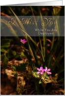 I Miss You While You Are Deployed, Pink Flowers card
