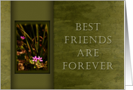 Best Friends are Forever, Pink Flowers with Green Background card