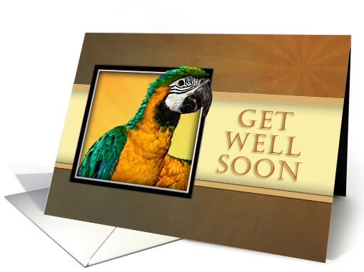 Get Well Soon, Parrot card (627106)