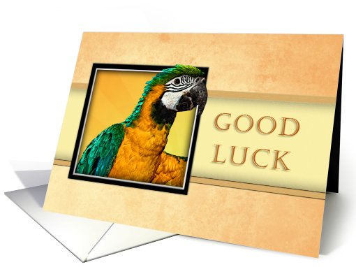 Good Luck, Parrot card (627111)