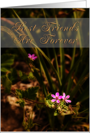 Best Friends are Forever, Pink Flowers card