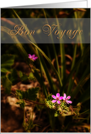Bon Voyage, Pink Flowers card