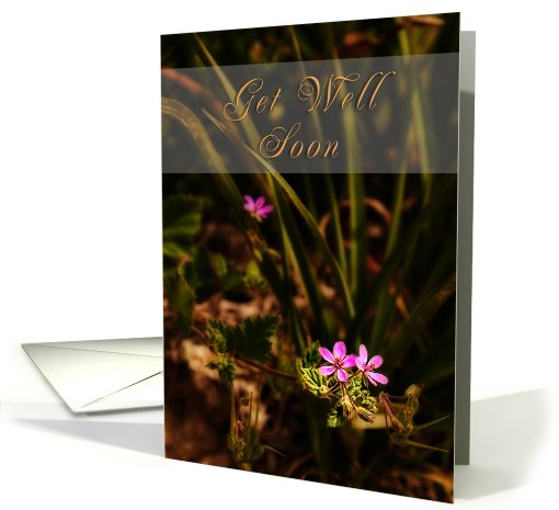Get Well Soon, Pink Flowers card (627123)