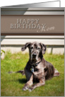 Happy Birthday Mom, Great Dane Dog on Grass card