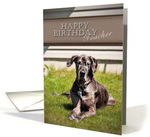 Happy Birthday Teacher, Great Dane Dog on Grass card (627795)