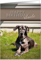 Happy Birthday Uncle , Great Dane Dog on Grass card