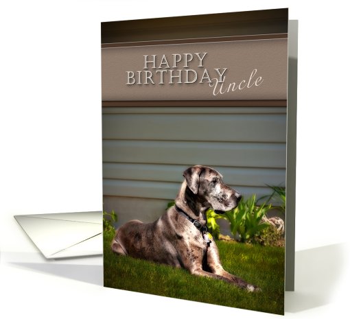 Happy Birthday Uncle, Great Dane Dog on Grass card (628396)