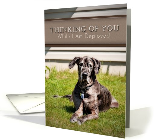 Thinking of You While I Am Deployed, Great Dane Dog on Grass card