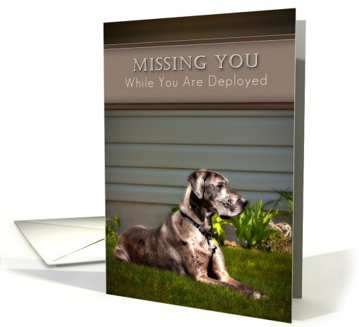 Missing You While You Are Deployed, Great Dane Dog on Grass card