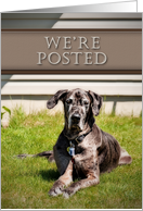 We’re Posted, Great Dane Dog on Grass card