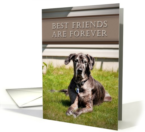 Best Friends Are Forever, Great Dane Dog on Grass card (630183)