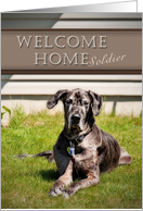 Welcome Home Soldier, Great Dane Dog on Grass card