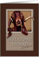 Welcome Home Soldier, Goat in Window card