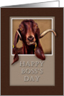 Happy Boss`s Day, Goat in Window card