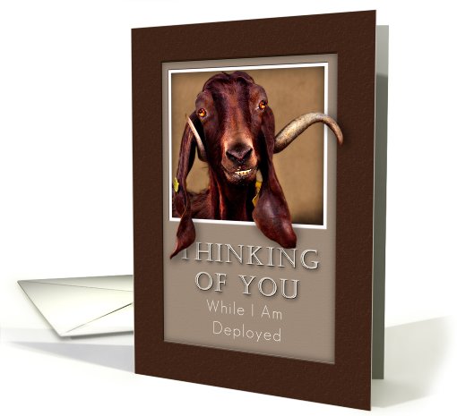 Thinking of You While I Am Deployed, Goat in Window card (630627)
