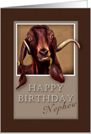 Happy Birthday Nephew, Goat in Window card