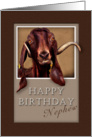 Happy Birthday Nephew, Goat in Window card
