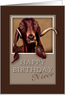Happy Birthday Niece, Goat in Window card