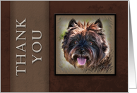 Thank You, Brown Dog on Brown Background card