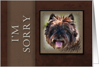 I`m Sorry, Brown Dog on Brown Background card