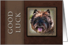 Good Luck, Brown Dog on Brown Background card