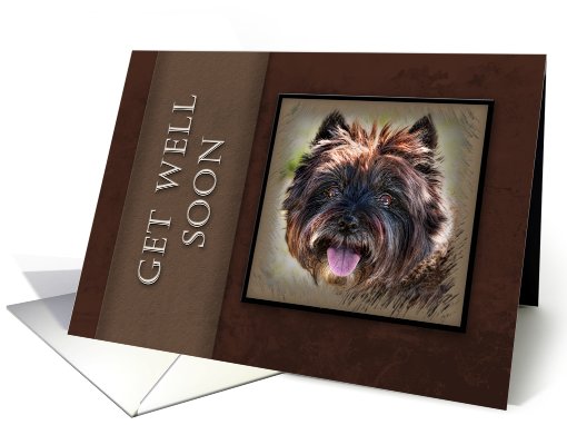 Get Well Soon, Brown Dog on Brown Background card (631308)