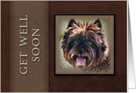 Get Well Soon, Brown Dog on Brown Background card